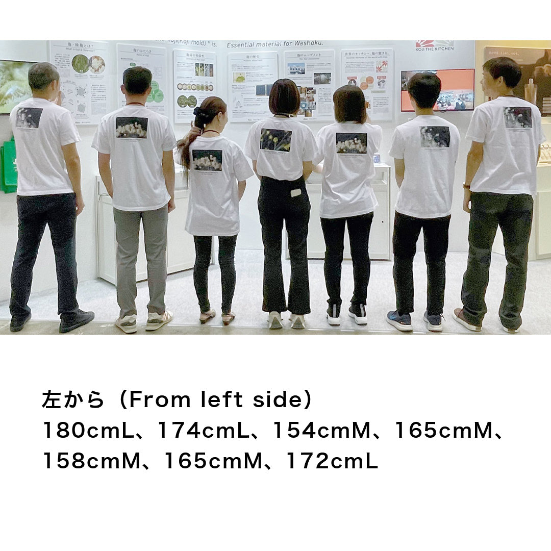 【限定受注生産】〈たねこうじ〉Tシャツ